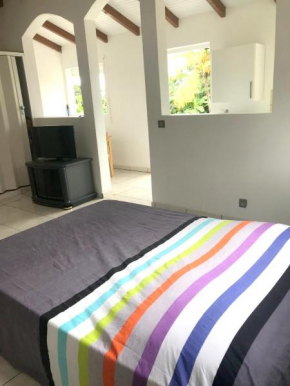 Appartement charmant à Capesterre-Belle-Eau avec jardin 36 m².